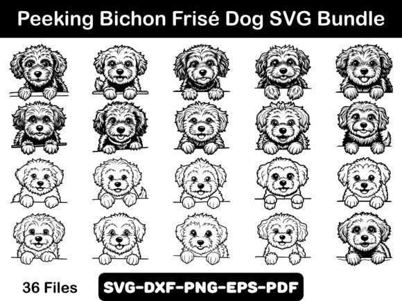 Peeking Bichon Frisé Dog SVG Bundle – A Designer's Take
