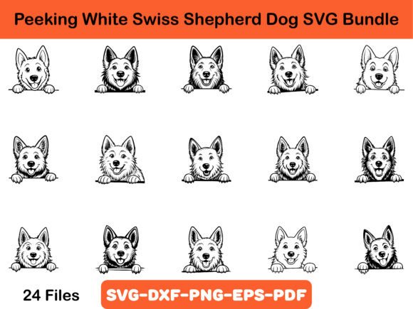 Peeking White Swiss Shepherd Dog SVG – A Designer's Review