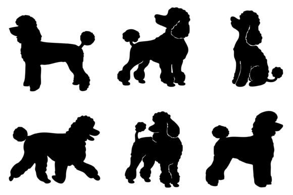 Poodle Silhouette SVG Bundle